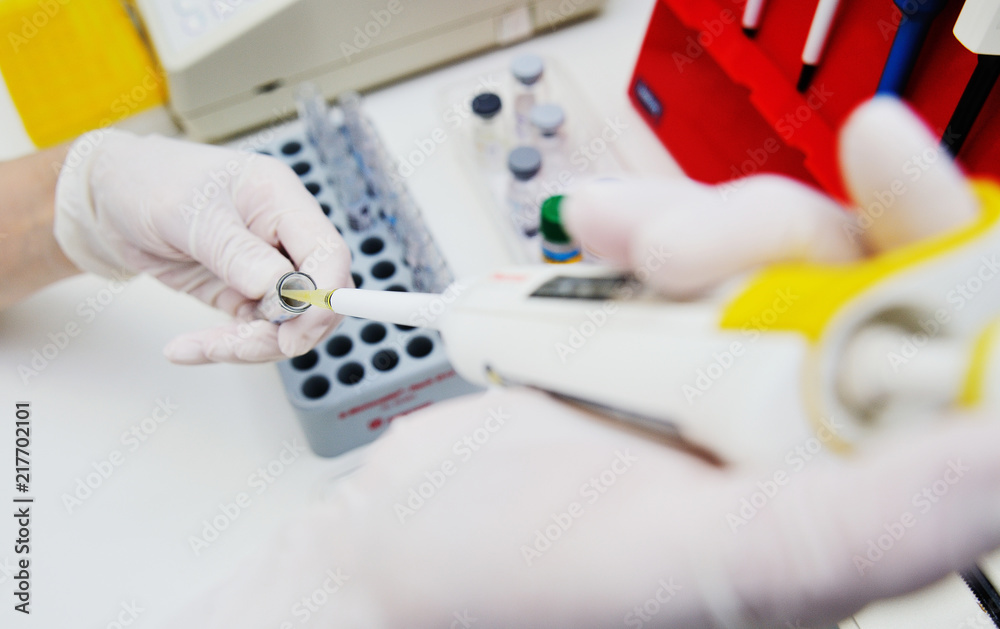 a scientist working in a genetics lab with a pipette. The dispenser is in the hands of a research scientist a scientist working in a genetics lab with a pipette. The dispenser is in the hands of a research scientist