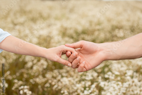 partial view of lovers holding hands with wild flowers on background