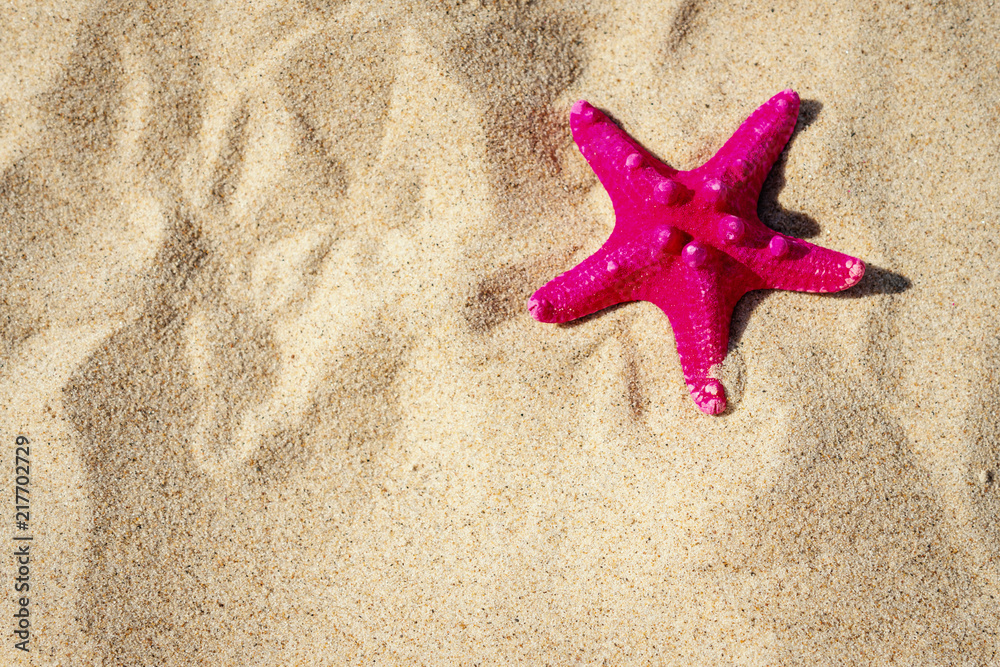 holiday background with sea star on sand at the beach in summer holiday background with sea star on sand at the beach in summer