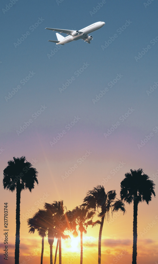 Fototapeta premium Airpane in sky backdrop