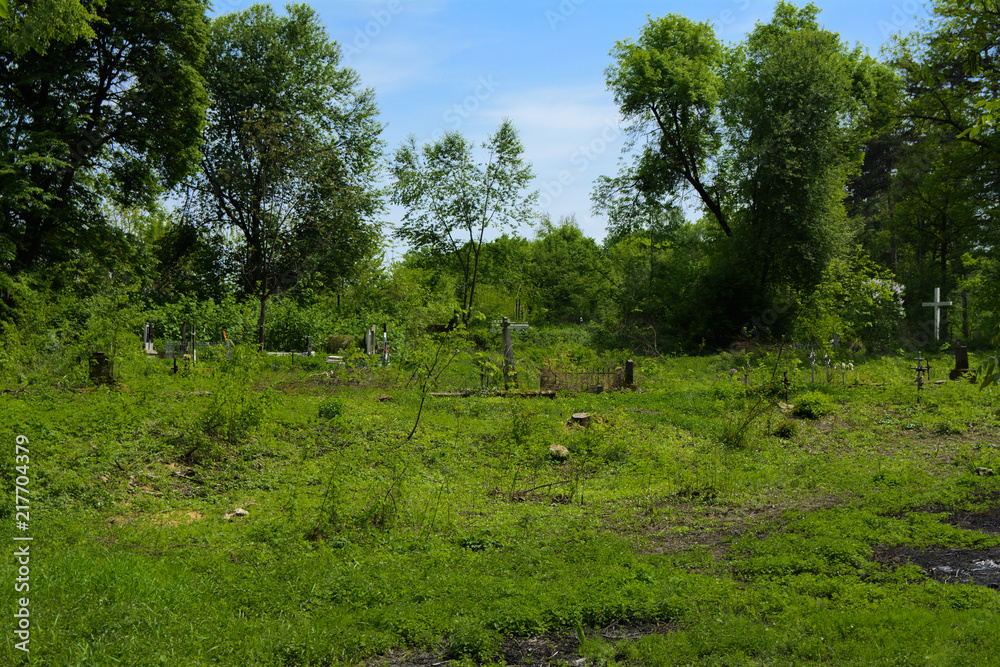 An old abandoned cemetery, crosses and graves overgrown with tall grass against the backdrop of tall trees and a blue sky. An old abandoned cemetery, crosses and graves overgrown with tall grass against the backdrop of tall trees and a blue sky.