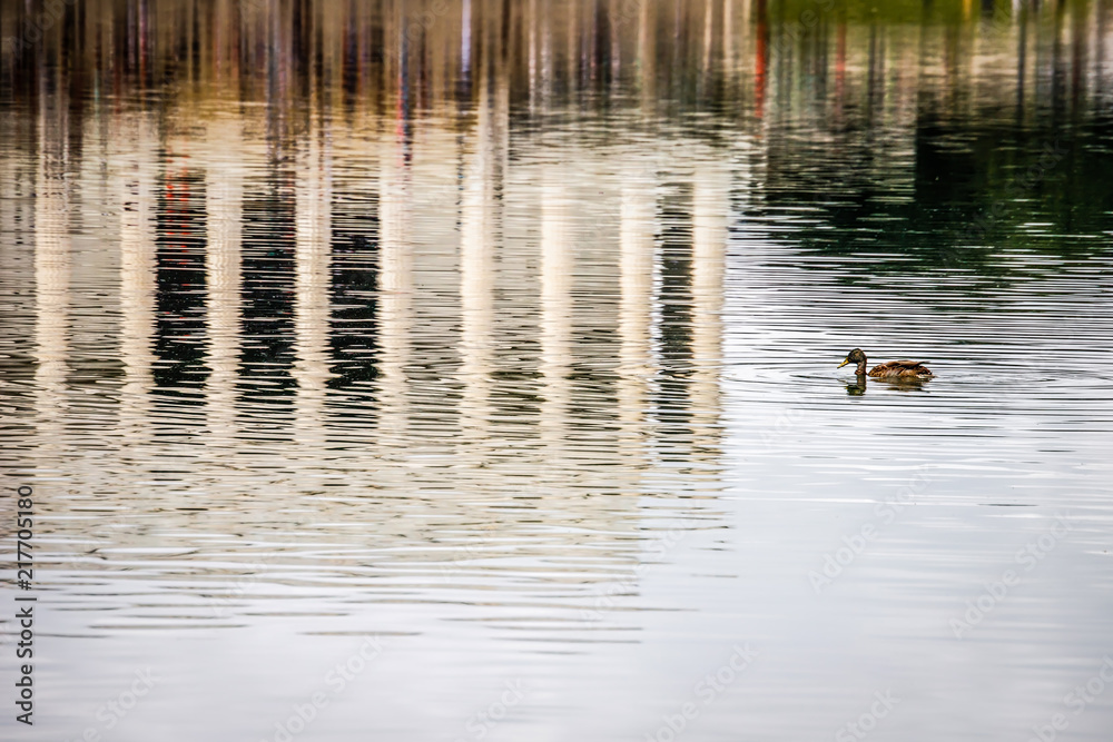 Just Ducky Just Ducky