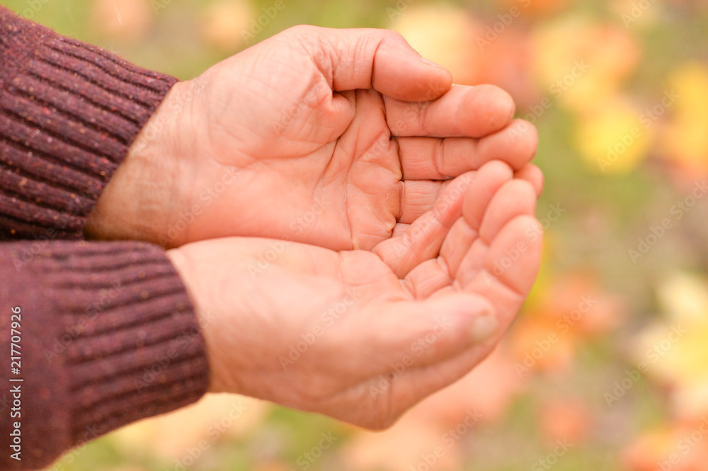 Close up view of male hands at nature Close up view of male hands at nature