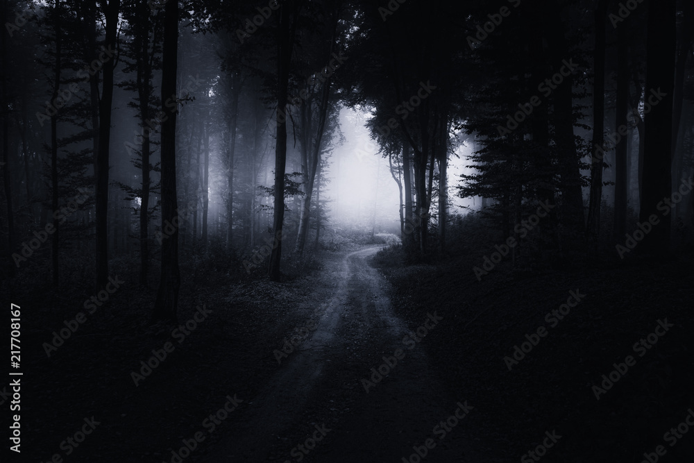 Fototapeta premium straszna ścieżka w ciemnym lesie nocą, surrealistyczny krajobraz