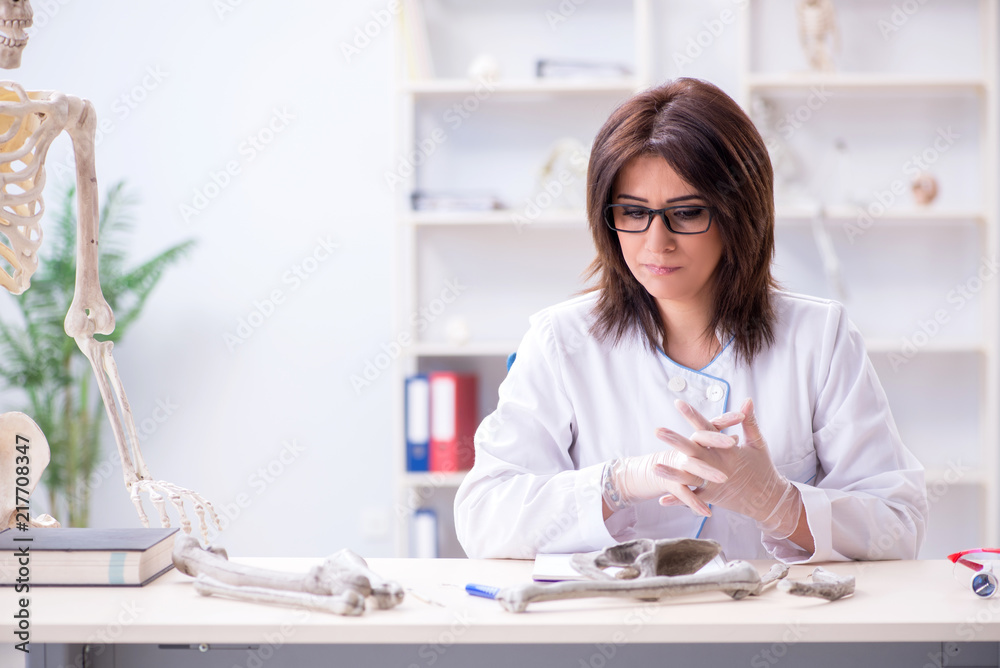 Doctor working in the lab on skeleton Doctor working in the lab on skeleton