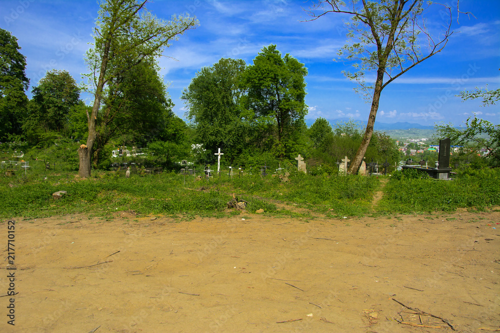 An old abandoned cemetery, crosses and graves overgrown with tall grass against the backdrop of tall trees and a blue sky. An old abandoned cemetery, crosses and graves overgrown with tall grass against the backdrop of tall trees and a blue sky.