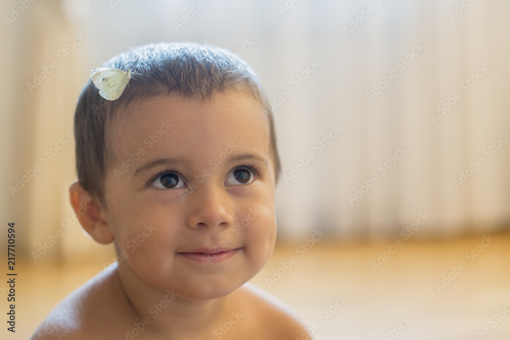 white butterfly on the head of a baby. Happy little boy with a butterfly on his head. copy space white butterfly on the head of a baby. Happy little boy with a butterfly on his head. copy space