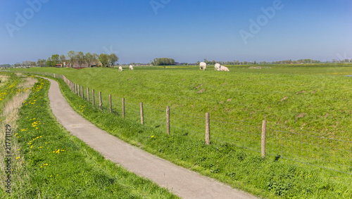 Bicycle path along a dike in Groningen, Netherlands photo