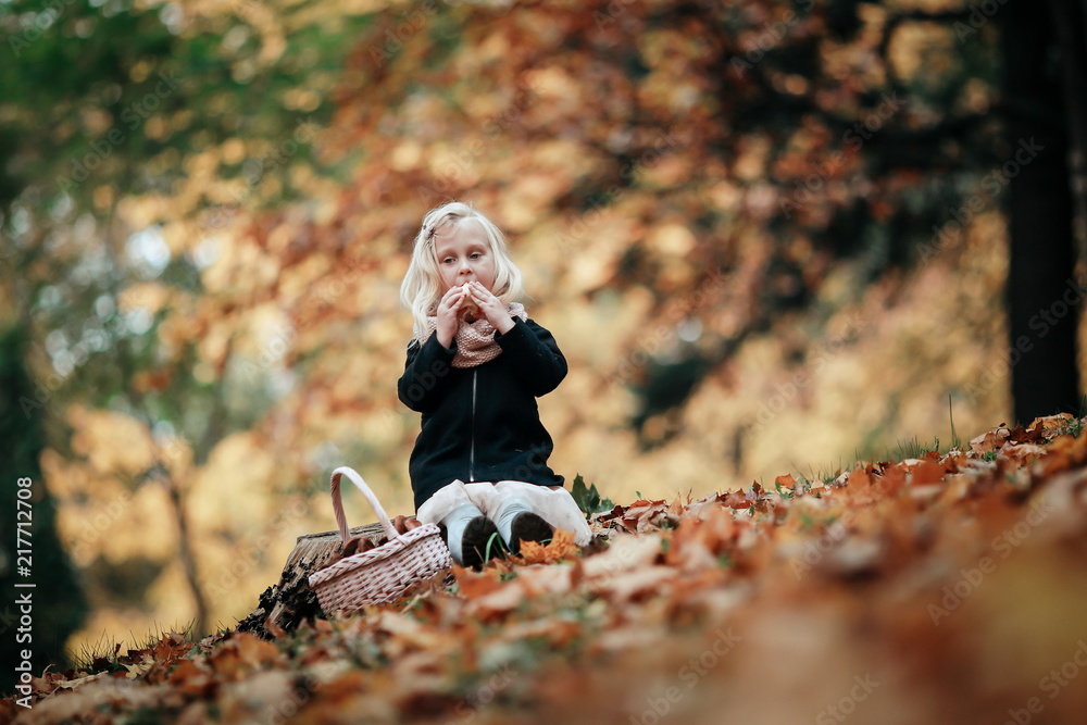 A little girl collects and eats apples in the autumn garden. A little girl collects and eats apples in the autumn garden.