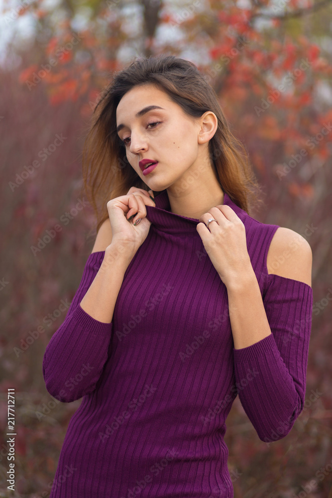Girl in lilac dress on nature in autumn, Portrait of a beautiful girl in the autumn in the forest Girl in lilac dress on nature in autumn, Portrait of a beautiful girl in the autumn in the forest