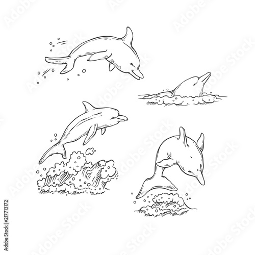 Vector sketch set dolphins jumping dive and swim. Monochrome black sea animals isolated on white background for dolphinarium or oceanarium tourist cards or banners design.