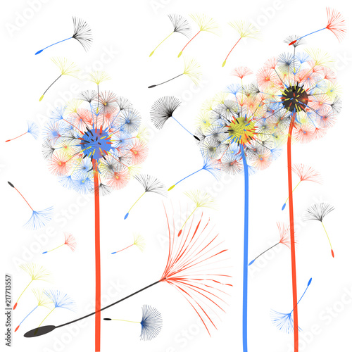 Abstract background of a dandelion for design. 