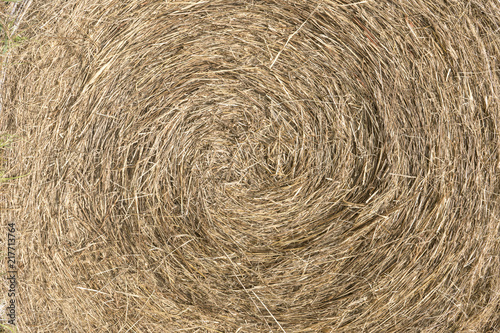 Large bail of hay. Close up. Vegetable texture roll. Dry straw texture.