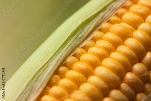 Close up shot Fresh ripe and peeled sweet corn with water drop high vitamin nature food select focus shallow depth of field
