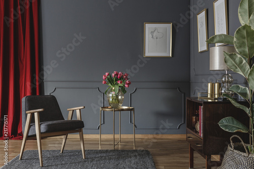 Elegant living room interior with fresh pink tulips on gold table, grey armchair standing on carpet, red curtain and posters hanging on molding wall #217715171