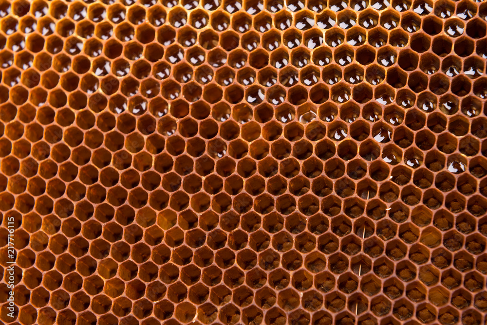 dark slices of wax with honey