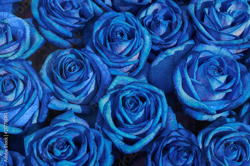 Flowers background. Blue roses bouquet  top view.