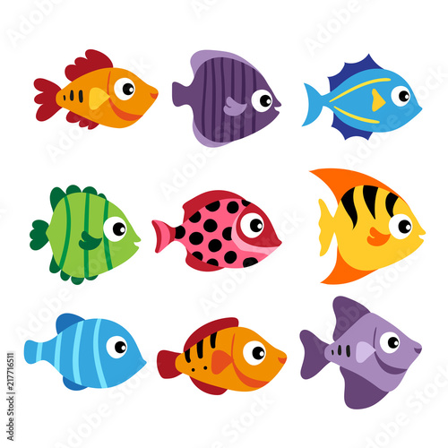 fish matching game vector design