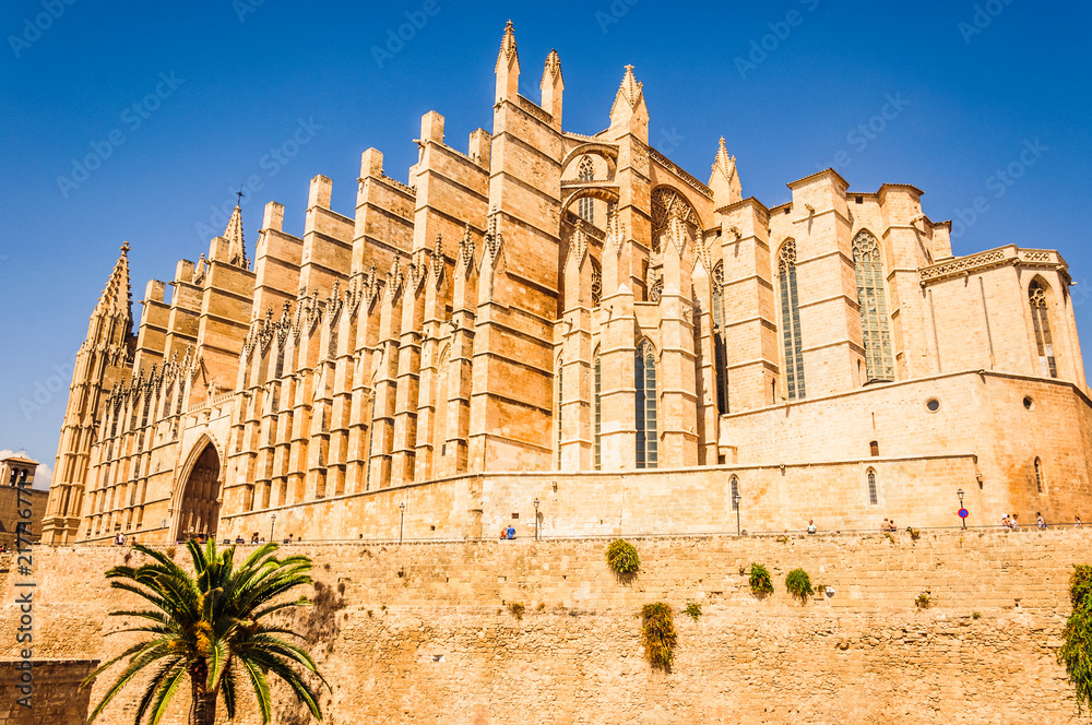 Obraz premium Cathédrale de Palma de Majorque