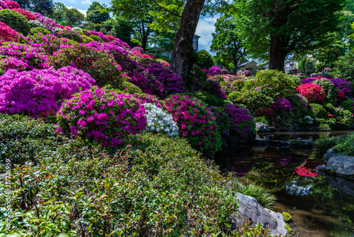 japanese garden