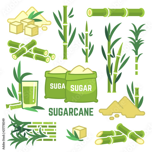 Sugar plant agricultural crops, cane leaf, sugarcane juice vector icons photo