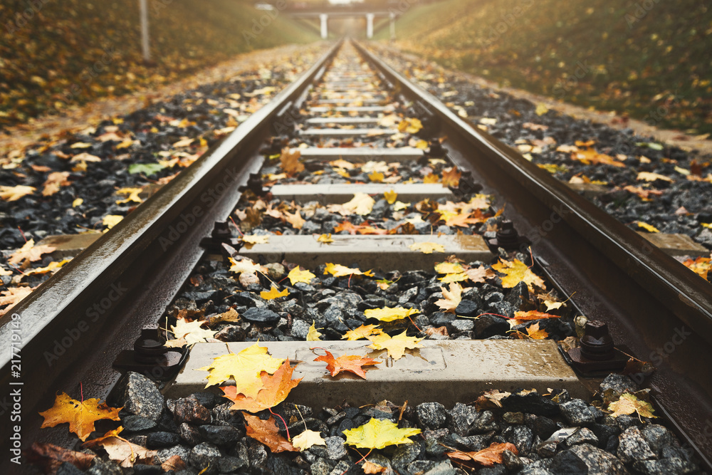 Railway tracks closeup running through autumn forest Railway tracks closeup running through autumn forest
