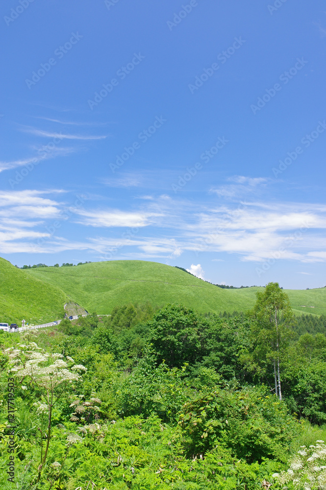 夏の車山高原