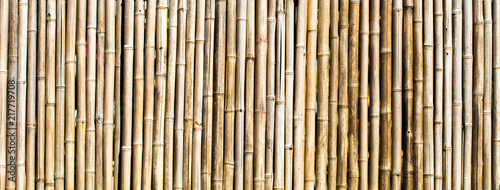 Fundo com bambu