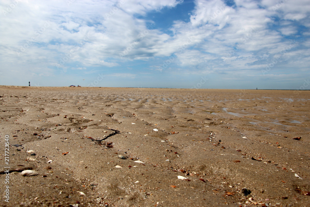 Strand mit Muscheln und dem Horizont Strand mit Muscheln und dem Horizont