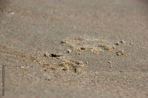 Spuren im Sand am Strand von Breskens