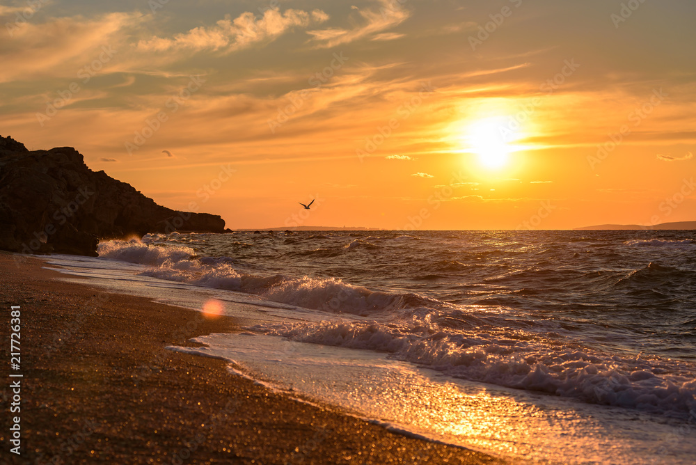 Wild beach of the Black Sea in Crimea, against the background of the sunset floating bird