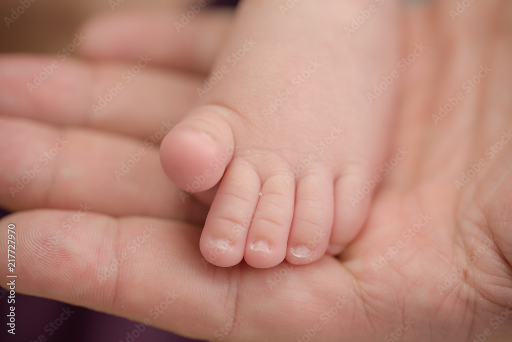 Feet of a newborn baby in the hands of parents. Happy Family oncept. Mum and Dad hug their baby's legs. Feet of a newborn baby in the hands of parents. Happy Family oncept. Mum and Dad hug their baby's legs.