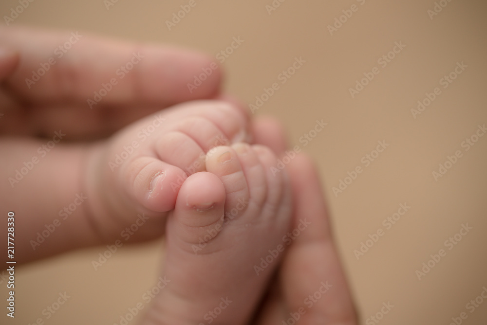 Feet of a newborn baby in the hands of parents. Happy Family oncept. Mum and Dad hug their baby's legs. Feet of a newborn baby in the hands of parents. Happy Family oncept. Mum and Dad hug their baby's legs.