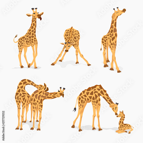 Set of cute giraffes isolated on white.