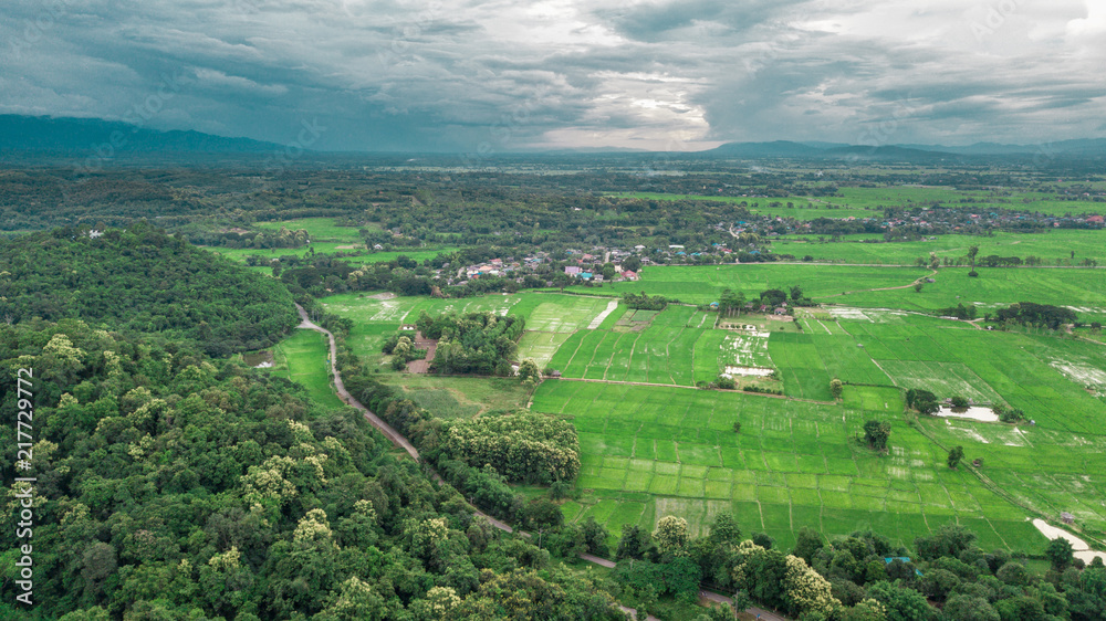 Aerial view shot with drone of Asian green fields 