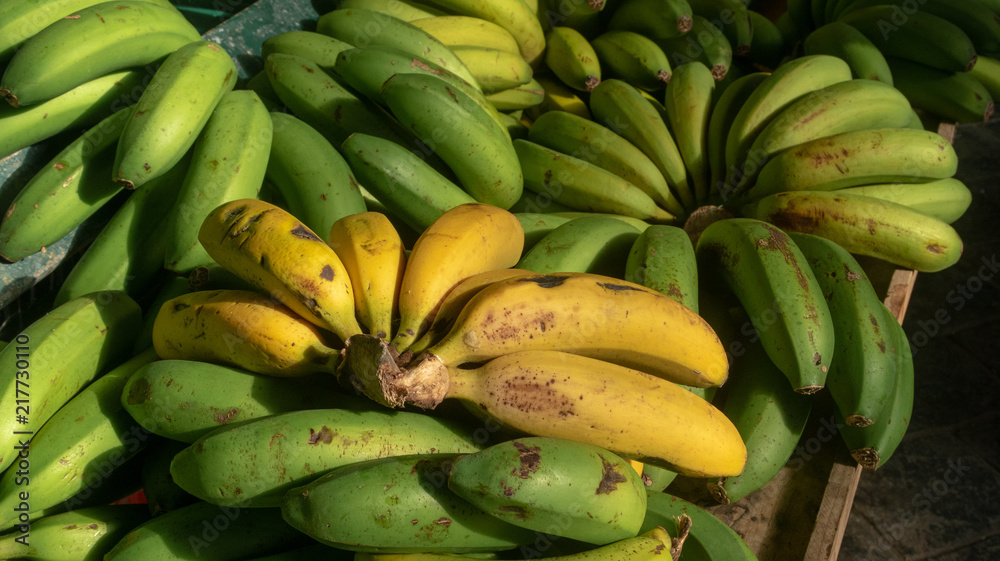 Reife Bananen inmitten grüner Bananen