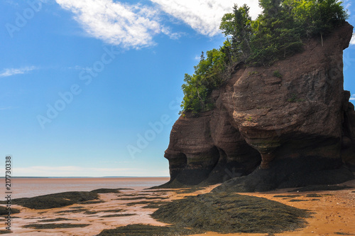 Hopewell Rocks at low tide, Fundy bay, Canada