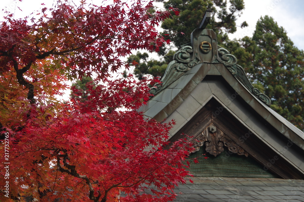 紅葉と屋根