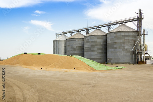 Schilderij op canvas old agricultural silos and and wheat pile deposit