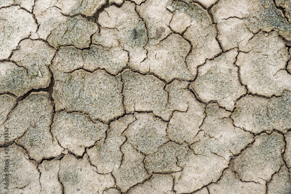 Dry Cracked Earth Background During Drought Dry Cracked Earth Background During Drought
