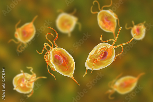 Trichomonas vaginalis protozoa, 3D illustration. A parasite causing trichomoniasis, sexually transmitted infection in men and women photo