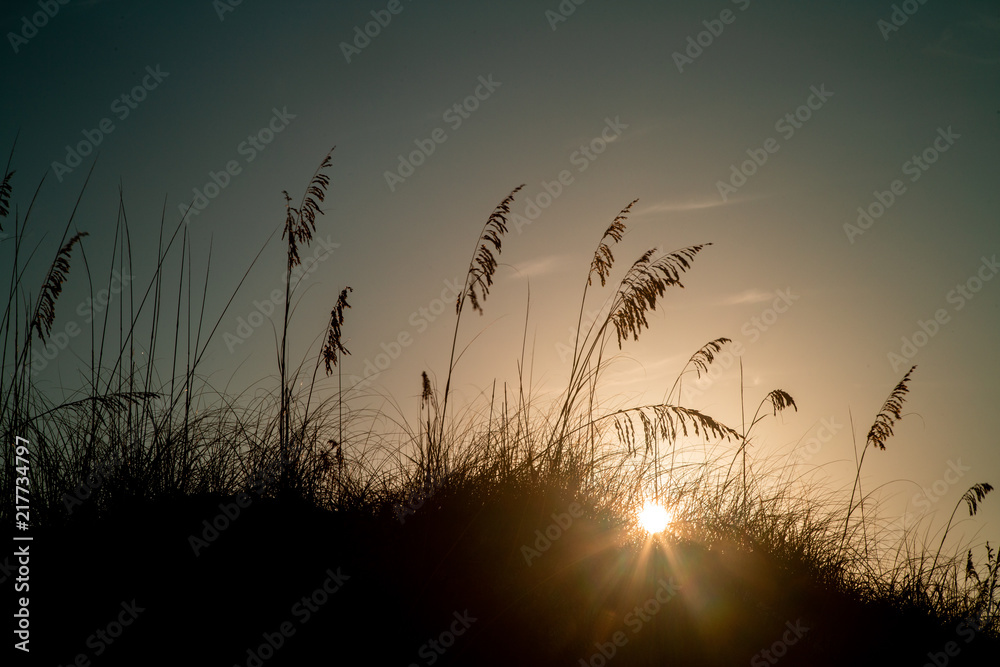 Obraz premium Beautiful Sun rising over the dunes