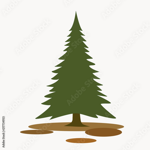 Green Spruce tree vector icon isolated on white background.