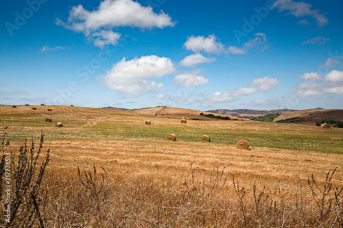 Panoramic view of a wheat field after harvest, with rolled straw bales.