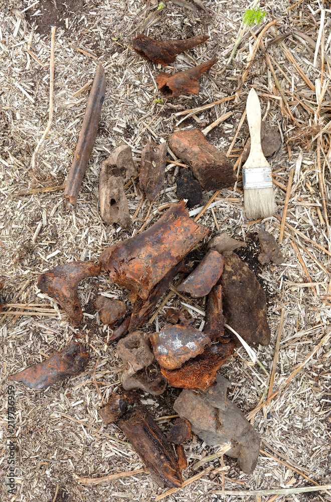 Remains of medieval animals killed and eaten by people in the 12th-15th century