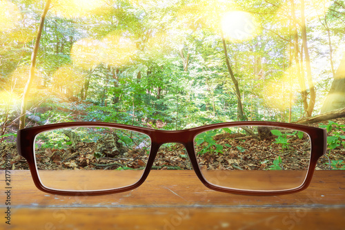 moderne Brille mit Waldhintergrund