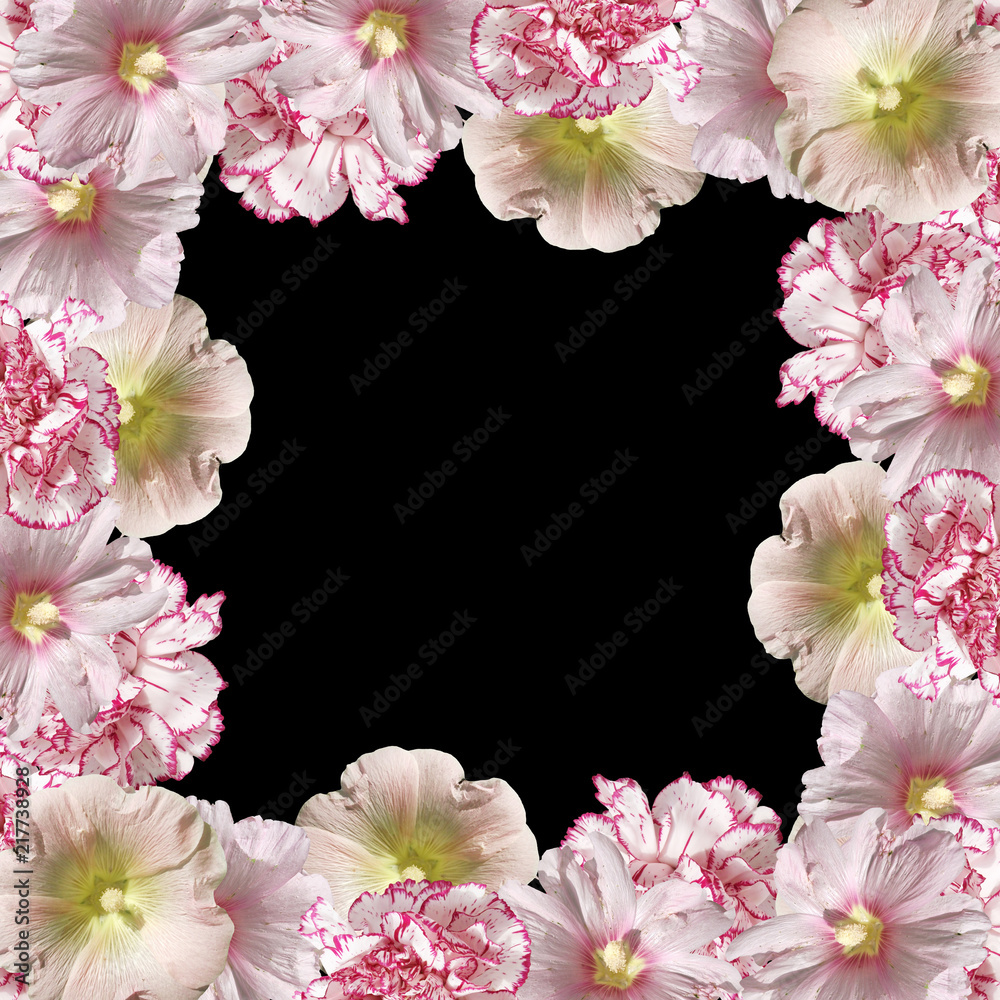Beautiful flower background from a mallow and a hibiscus Beautiful flower background from a mallow and a hibiscus
