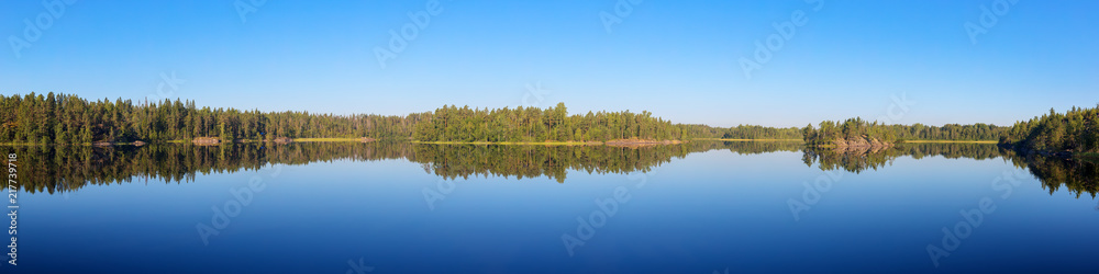forest lake in the calm of a summer