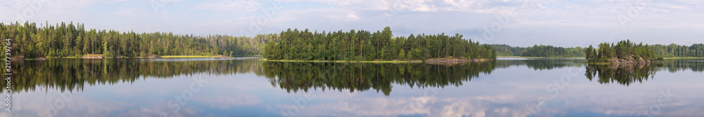 panorama of a forest lake