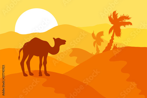 Sand Desert With Camel